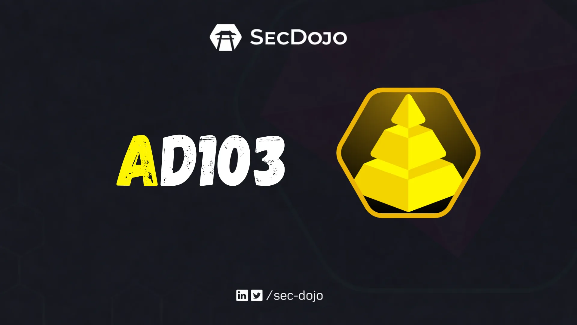 AD103 Secdojo